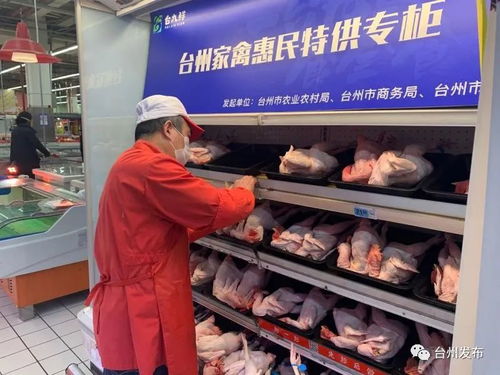 临海四家超市设立惠民家禽专柜，政府补贴保障市民实惠