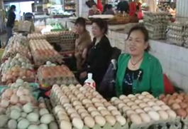 外省H7N9禽流感疫情冲击临湘家禽销售