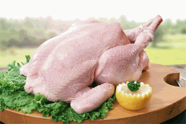 安心加盟，稳步起航——详解上海冷鲜鸡加盟流程与家禽销售市场前景